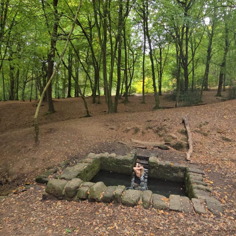 Perspective Shift Your reality is a reflection of your inner world